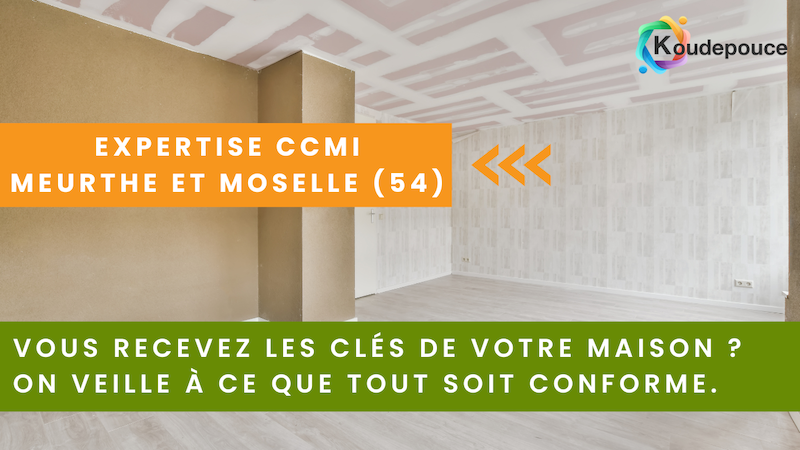 Expertise CCMI