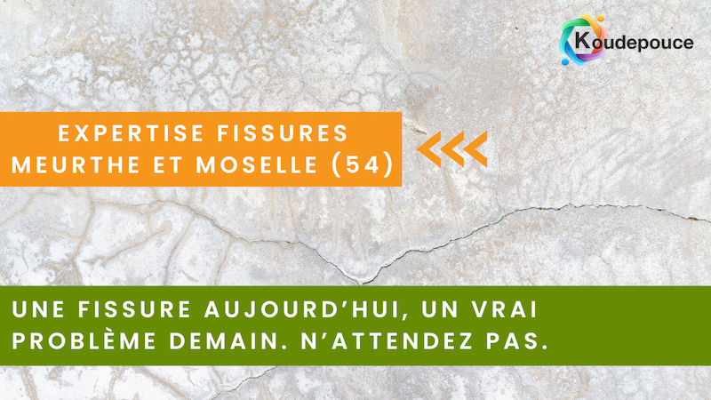 Expertise fissures