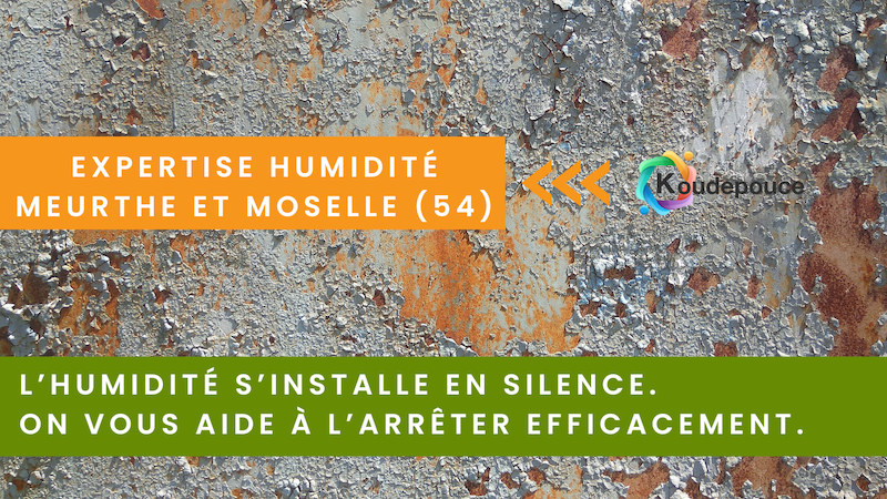 Expertise humidité